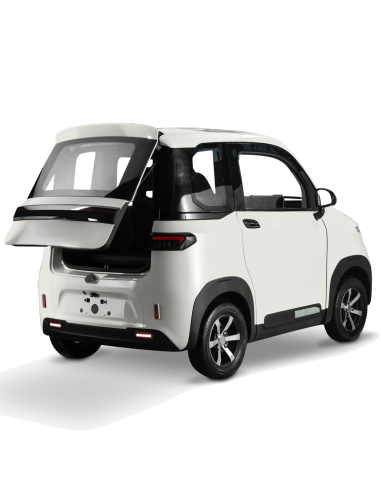 Voiturette electrique VSP 4000 watts FUTURI 4...