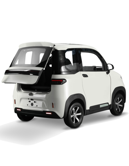 Voiturette electrique VSP 4000 watts FUTURI 4 max 4 places climatisation