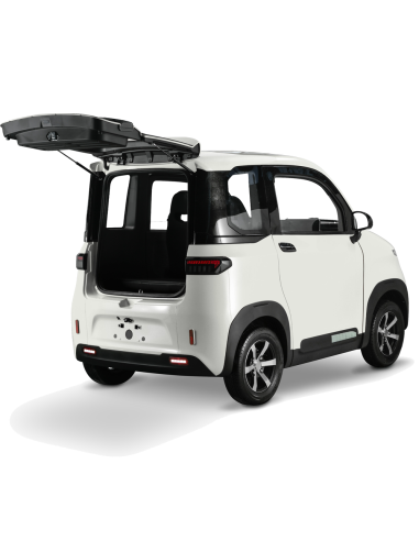 Voiturette electrique VSP 4000 watts FUTURI 4...