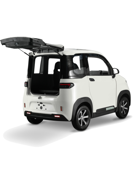 Voiturette electrique VSP 4000 watts FUTURI 4 max 4 places climatisation