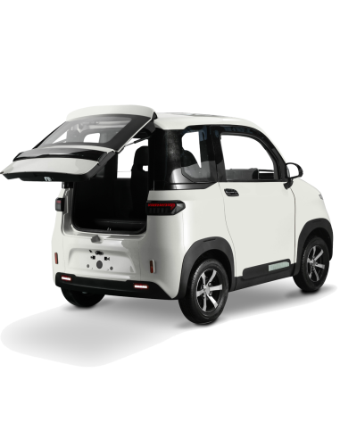 Voiturette electrique VSP 4000 watts FUTURI 4...