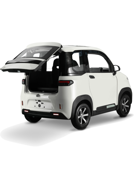 Voiturette electrique VSP 4000 watts FUTURI 4 max 4 places climatisation