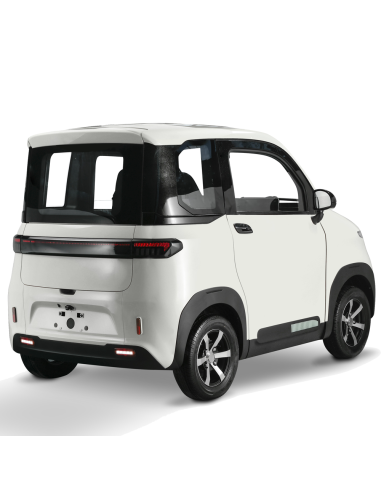 Voiturette electrique VSP 4000 watts FUTURI 4...