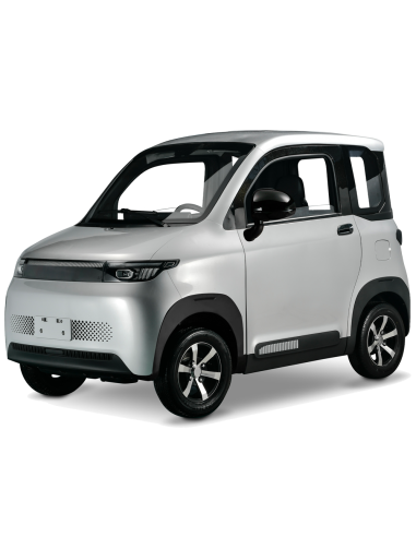 Voiturette electrique VSP 4000 watts FUTURI 4...