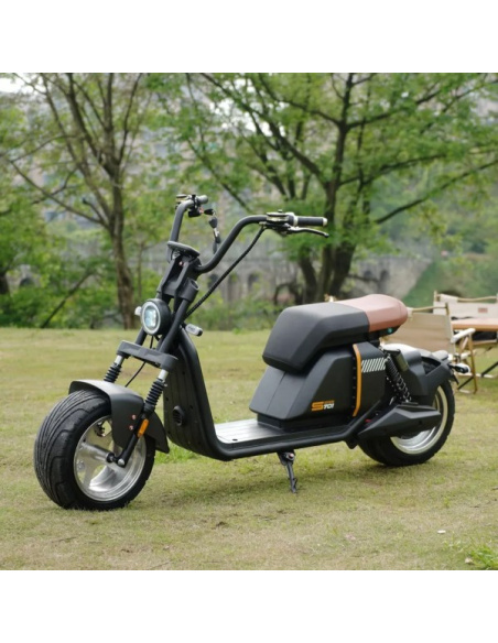 scooter électrique 2 roues Super 701 city coco 3000 watts