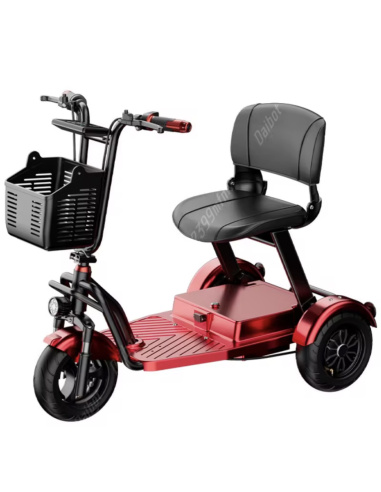 DOUDA scooter électrique 3 roues 1000 watts...